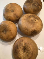 Canteen Gourds to make into instrument, set of 5