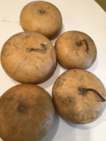 Canteen Gourds to make into instrument, set of 5