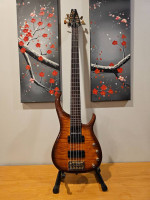 2007 Modulus Q5 5 string bass guitar