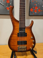 2007 Modulus Q5 5 string bass guitar