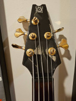 2007 Modulus Q5 5 string bass guitar