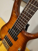 2007 Modulus Q5 5 string bass guitar