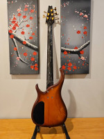 2007 Modulus Q5 5 string bass guitar