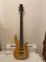 5 String Bass with Gig Bag ,New!