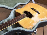 Washburn Stephen Davies Acoustic guitar