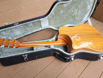 Washburn Stephen Davies Acoustic guitar