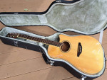 Washburn Stephen Davies Acoustic guitar