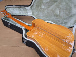 Washburn Stephen Davies Acoustic guitar
