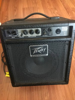 Peavy max 158 student bass amp