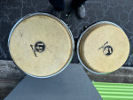 MR COHEN BONGOS