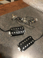 Fender HH pickup assembly