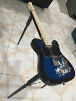 TELE STEEL GUITAR W/ G & B PALM BENDERS