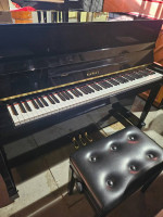 Piano Pro Moving ( Next day service), Tuning