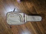 Fender Classic Tweed Gig Bad
