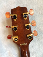 Super Rare Sunburst Takamine Santa Fe ESF40C - 1994