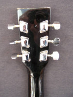 Esteban acoustic guitar