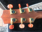 Takamine EAN15C