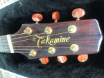 Takamine EAN15C