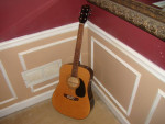 Squier by Fender Acoustic Guitar