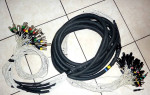 Radial 52 Pair 38 Foot Audio Snake XLR & TRS Mix