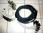 Radial 52 Pair 38 Foot Audio Snake XLR & TRS Mix