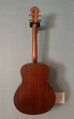 Taylor GS-Mini