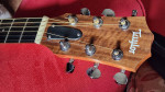 Taylor Acoustic