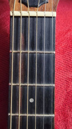 Taylor Acoustic