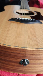 Taylor Acoustic