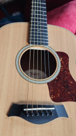 Taylor Acoustic