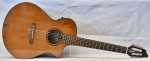 Breedlove Discovery S Concert Nylon CE A/E guitar
