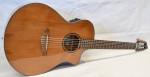Breedlove Discovery S Concert Nylon CE A/E guitar