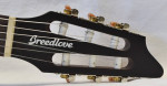 Breedlove Discovery S Concert Nylon CE A/E guitar