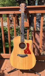 Taylor 310 CE L1