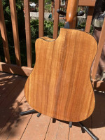 Taylor 310 CE L1