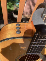 Taylor 310 CE L1