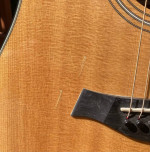 Taylor 310 CE L1