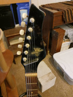 1960s Kingston Electric Guitar