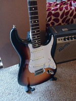 Fender Tex Mex with vintage Vibro Champ