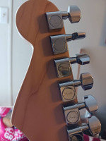 Fender Tex Mex with vintage Vibro Champ