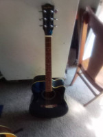 Spectrum acoustic guitar
