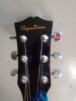 Spectrum acoustic guitar