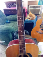 Rare Morris A-704 Custom Shop