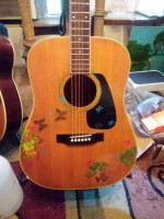 Rare Morris A-704 Custom Shop