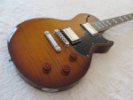 Schecter Solo-II Standard and Gator 4G Gig Bag