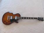 Schecter Solo-II Standard and Gator 4G Gig Bag
