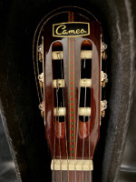 Cameo acoustic guitar Model PN-650