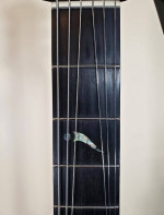 Carvin Kiesel CS6 22 W Many Upgrades