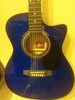 Electric Accoustic