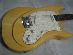 Jay Turser "Branson" Phantom Coil Guitar
